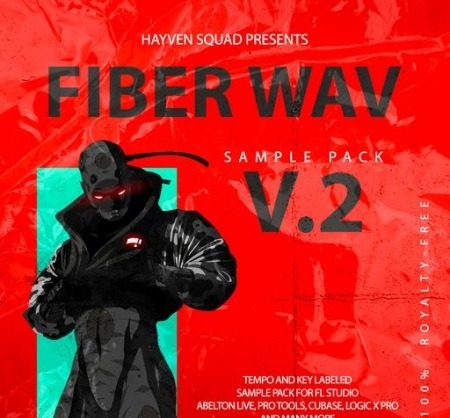 Kit Makers Fiber Wav 2 WAV